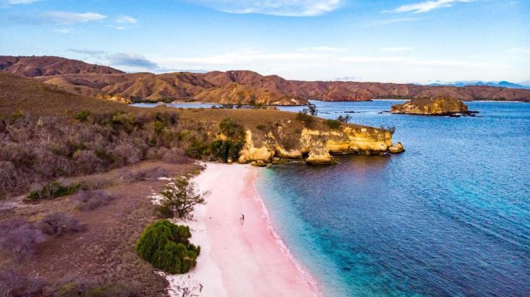 Pantai Pink Pulau Komodo Terpilih sebagai Pantai Terindah di Dunia