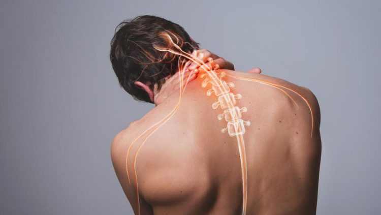 Tanaman Herbal Efektif Meredakan Nyeri Saraf Kejepit