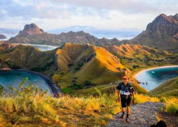 Nasib Komodo Terancam, Ratusan Vila Akan Dibangun di Pulau Padar