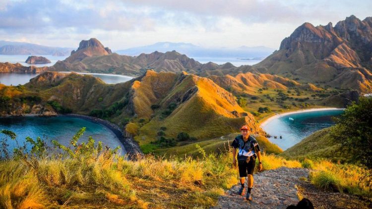 Nasib Komodo Terancam, Ratusan Vila Akan Dibangun di Pulau Padar