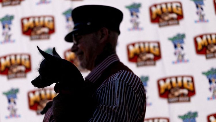 Kontes Anjing Terjelek Rayakan Ketidaksempurnaan di Dunia