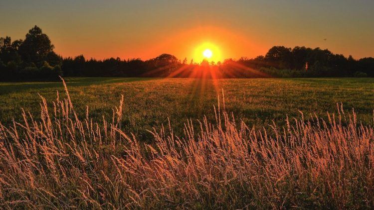 7 Manfaat Sinar Matahari Pagi untuk Kesehatan Tubuh dan Pikiran yang Jarang Diketahui