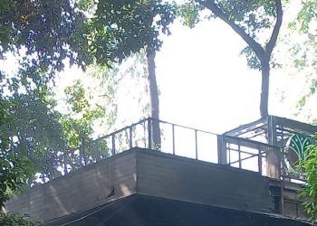 Asa dari Kafe di Arboretum Kemenhut yang Terbakar dan Dijarah Massa