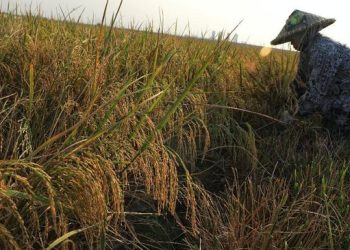 Rombongan Petani Indonesia Aksi di Jalan dengan 8 Tuntutan, Ini Jadwalnya