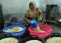 Nasi Jagung dan Kongbap, Solusi Mengatasi Harga Beras yang Tinggi dan Langka