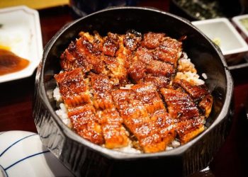 Dampak Makan Belut Setiap Hari bagi Kesehatan Tubuh