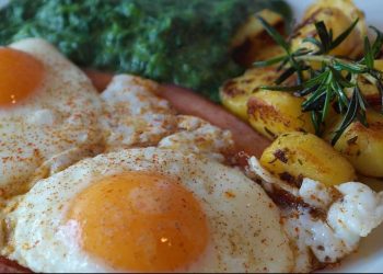 Disarankan Menkes, Dampak Sarapan 2 Telur Setiap Hari terhadap Kesehatan