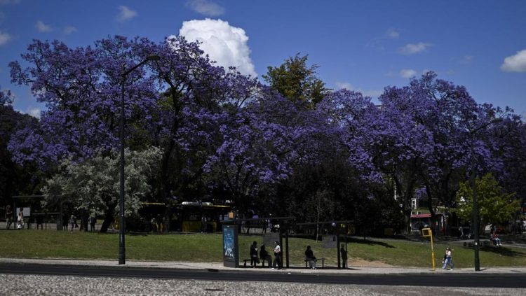 Kota Ini Menjadi Destinasi Liburan Paling Membahagiakan