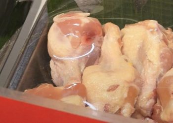 Diskon 50%+20% untuk Ayam Boiler yang Dijamin Murah di Transmart
