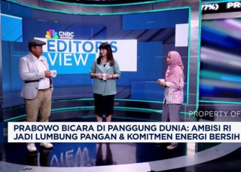 Pidato Prabowo di PBB, Apakah Ambisi Pangan dan Energi RI Realistis?