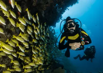 Berenang dan Menyelam di Laut Menggunakan Tabir Surya Terlarang di Thailand Bisa Didenda hingga Rp51 Juta