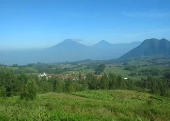 10 Tempat Makan Enak di Kopeng dengan Sensasi Kuliner dan Pemandangan Sejuk 2025