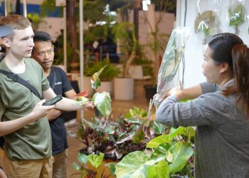 Jelajahi Pameran Tanaman Hias dengan Instalasi Musik Interaktif di Expo 2025