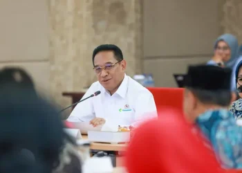 Dorong Kebijakan Penempatan Tenaga Medis Tepat Sasaran Melalui Pertemuan Rutin dengan KKI