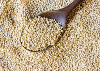 Sosis Ayam Berbasis Sorgum Tinggi Protein Ramah untuk Pengidap Diabetes