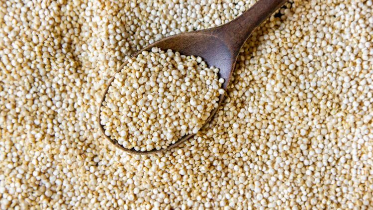 Sosis Ayam Berbasis Sorgum Tinggi Protein Ramah untuk Pengidap Diabetes