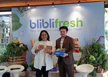Solusi Belanja Bahan Makanan Online untuk Mengatasi Kecemasan Setelah Pembelian