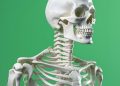 Tulang Rapuh Bukan Tiba-Tiba, Kenali Gejala Osteoporosis Sejak Awal