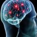 5 Cara Menjaga Kesehatan Otak agar Tetap Cerdas dan Aktif