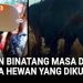 Kebun Binatang Masa Depan Hewan Hidup Bebas Tanpa Kurungan