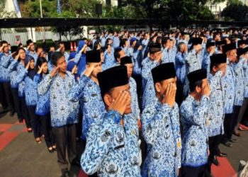 10 Perguruan Tinggi Pencetak PNS Terbanyak dengan Dominasi Kampus Negeri