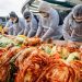 Festival Pembuatan Kimchi Terbesar dan Meriah di Korea Selatan