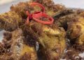 Resep Ayam Goreng Lengkuas Bumbu Kuning yang Bikin Nagih