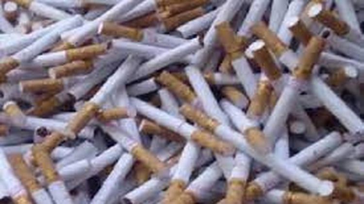 Jumlah Sampah Puntung Rokok di Indonesia Lebih Tinggi dari Limbah Makanan