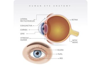 Kenali Ciri Kerusakan Saraf Mata dan Penyebab yang Jangan Disepelekan