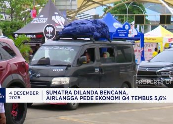 Luhut Menepis Dugaan Keterlibatan dalam Toba Pulp Lestari