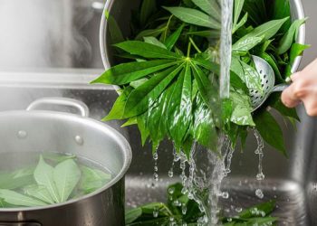 7 Resep Sederhana Olahan Daun Singkong untuk Menu Sehari-hari