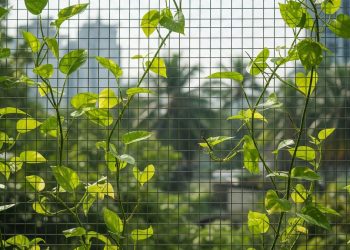 8 Tanaman Pilihan Anak Muda untuk Hunian Cantik dan Praktis