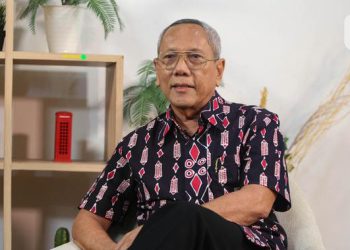 11 Manfaat Gas Tertawa Whip Pink untuk Kesehatan