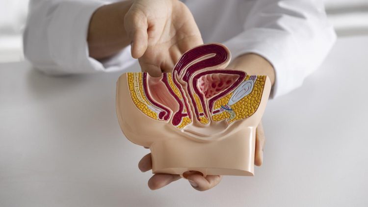 5 Pola Makan dan Gaya Hidup Penyebab Wasir atau Ambeien Menurut Dokter