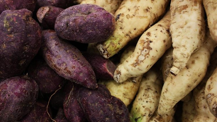 Resep Kue Sederhana dari Ubi Jalar yang Praktis dan Lezat untuk Camilan Keluarga