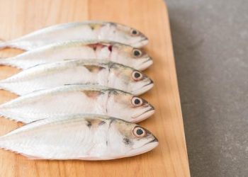 Cegah Stunting, Mahasiswa Ajak Ibu-Bapak Buat Nugget dari Ikan Kembung di Jatim