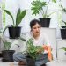 Rekomendasi 5 Tanaman Hias yang Membawa Hoki di Tahun 2026