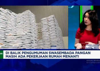 Video: Tidak Hanya Beras, Indonesia Perlu Strategi Swasembada Kedelai